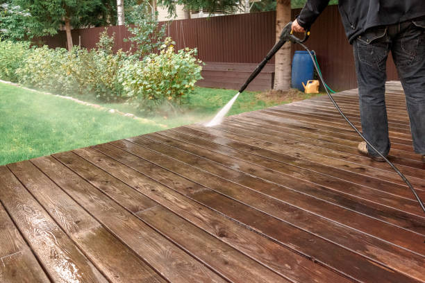 Best Solar Panel Cleaning  in Carrollton, AL