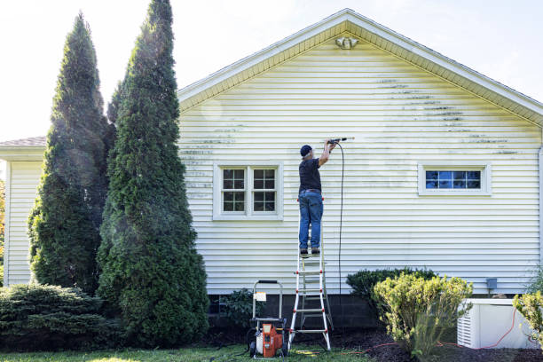 Best Patio and Deck Pressure Washing  in Carrollton, AL