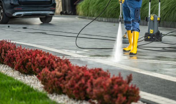 Best Playground Equipment Cleaning  in Carrollton, AL